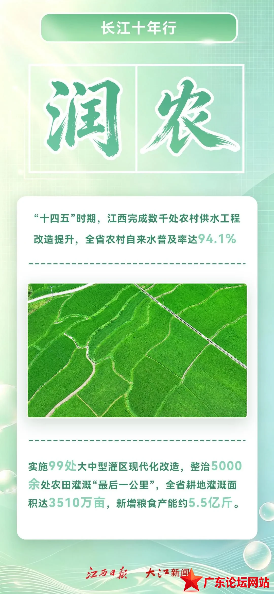 13939052894644530047 (1).jpg