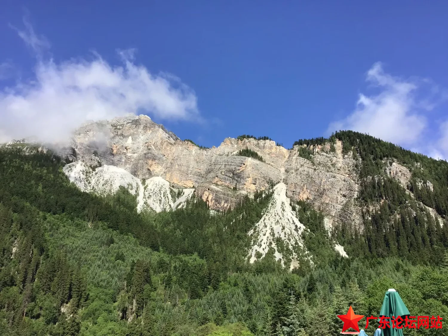 IMG_1384.jpeg